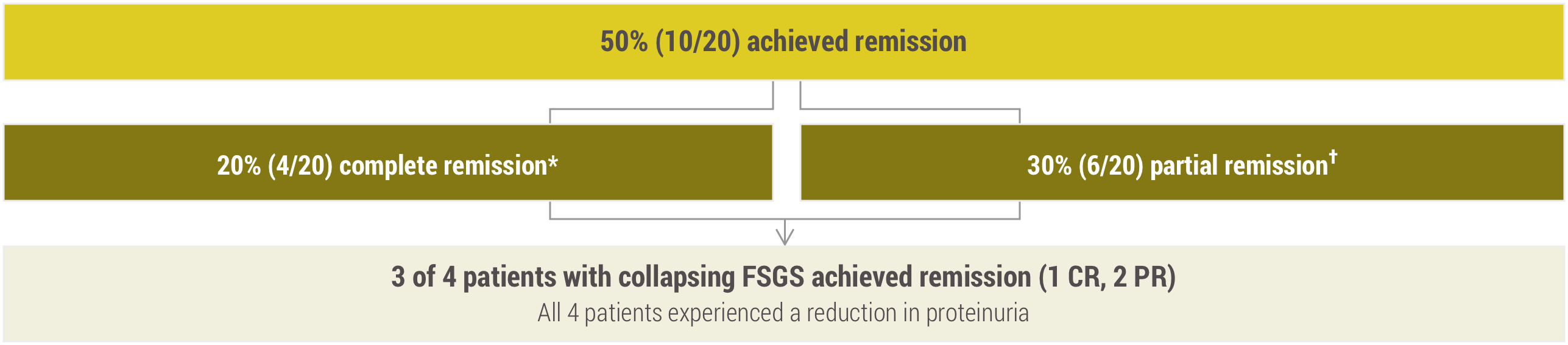 Acthar Gel FSGS study results: remission